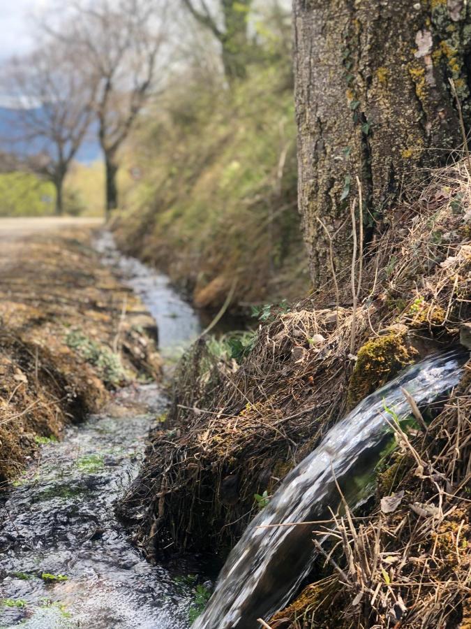 Villa Del Campo Rio Zorita Rublacedo de Abajo Εξωτερικό φωτογραφία